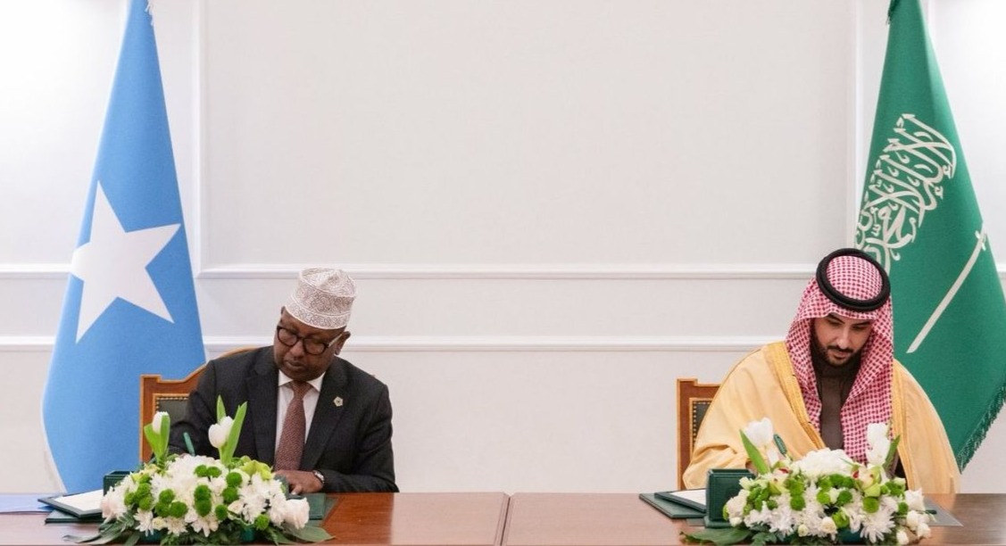 The Perilous Proxy Game: Turning Somalia into a Mercenary Hub